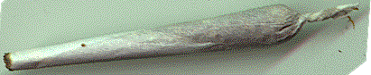 smoke_8.gif (13562 bytes)